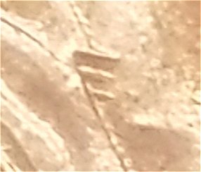 1999-D-Lincoln-Cent-Unusual-Extra-Die-Strikes-On-Bust-Of-Obverse?